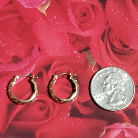 14K Gold Hoop Earrings - Picture 3 of 10